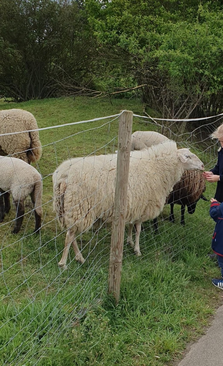 Jugendfarm in Germany