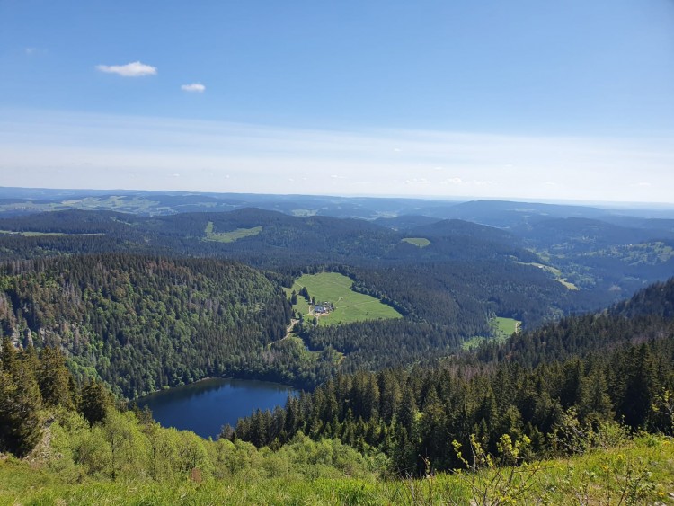 Titisee in the Schwarzwald