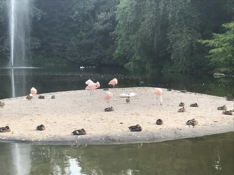 Killesbergpark Stuttgart